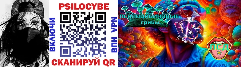 где продают   Чишмы  Псилоцибиновые грибы MAGIC MUSHROOMS 